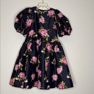 Charming Rose Print Dress